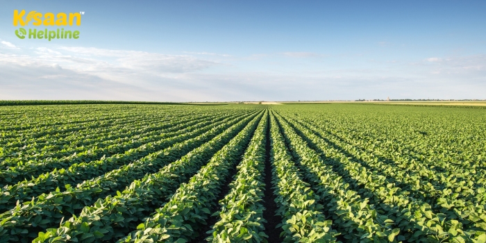 जानिए जून माह में किये जाने वाले महत्वपूर्ण कृषि कार्यों के बारे में