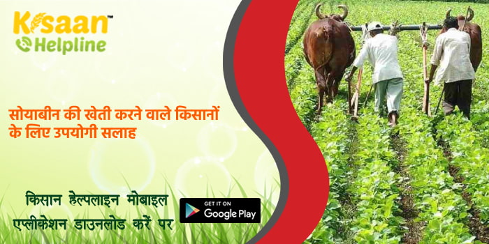 सोयाबीन की खेती करने वाले किसानों के लिए उपयोगी सलाह