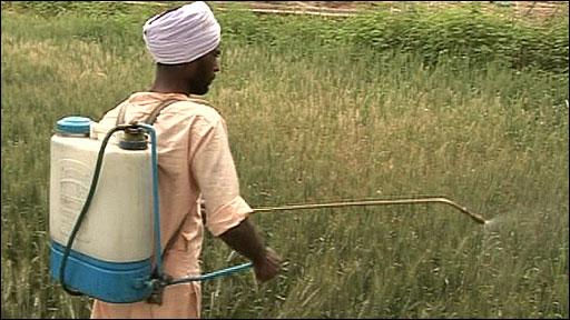 खरपतवारनाशक रसायनों के छिड़काव में बरतें सावधानी, गलती से भी ये भूल न करे