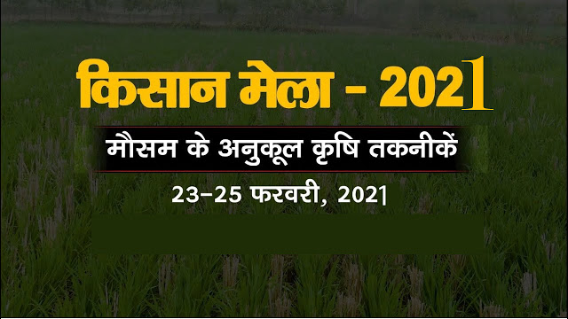  पूसा किसान मेला 2021: इस साल 25 से 27 फरवरी तक लगेगा किसान मेला