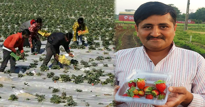 20 लाख की नौकरी छोड़कर, यह आदमी कर रहा है, खेती