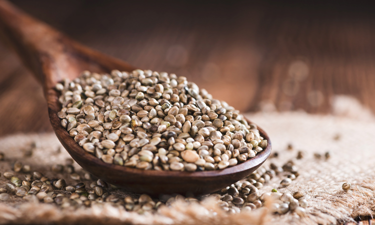 कैसे ख़रीदे उन्नत किस्म के बीज, जाने जरुरी बाते