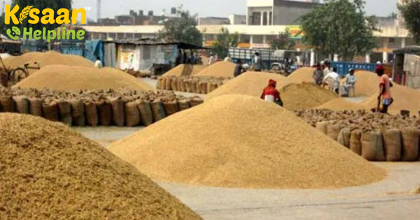 ओडिशा ने खरीफ-2020 में 96 लाख मीट्रिक टन खाद्यान्न उत्पादन का लक्ष्य