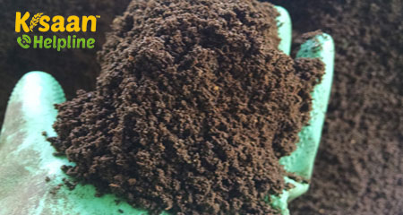 आपको रासायनिक उर्वरक में वर्मीकम्पोस्ट चुनने की आवश्यकता क्यों है?