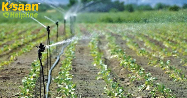 नाबार्ड के साथ सरकार 5,000 करोड़ रुपये का माइक्रो इरिगेशन फंड कोष बनाया