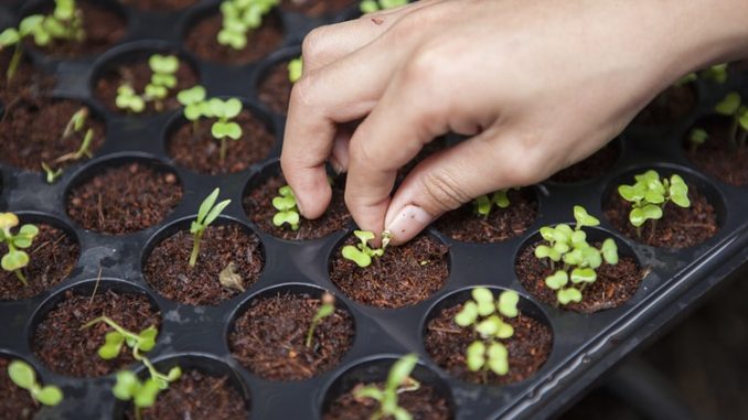आपके बेहतर स्वास्थ्य के लिए जरुरी बाते, जैविक खेती और उसका असर जरूर पढ़े।