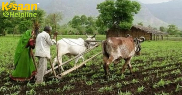 क्या किसानों की आय आने वाले वर्षों में दोगुनी हो जाएगी, आइए जानते हैं इसके बारे में