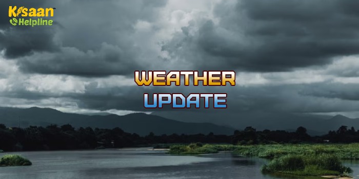 Weather Update : मौसम विभाग का लेटेस्ट अपडेट, मध्य प्रदेश, दिल्ली-यूपी समेत इन राज्यों में भारी बारिश के आसार