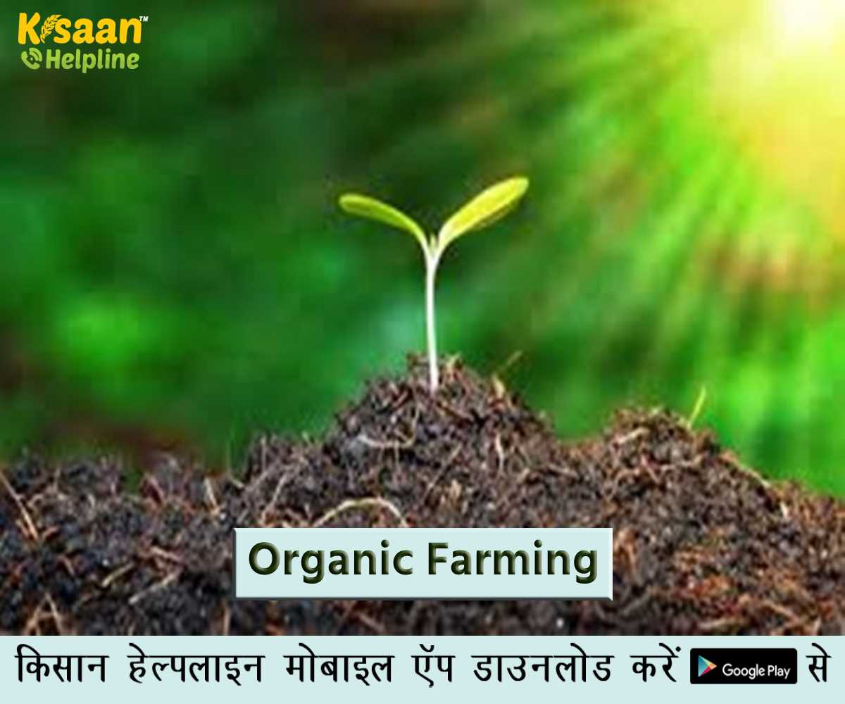 Organic Farming: कृषि वैज्ञानिकों को जैविक खेती को लाभकारी बनाना चाहिए: राज्यपाल