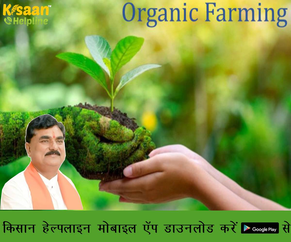 मुख्यमंत्री श्री शिवराज सिंह चौहान ने मध्यप्रदेश में जैविक खेती को बढ़ावा देने के लिए मुझे ज़िम्मेदारी सौंपी है : कमल पटेल