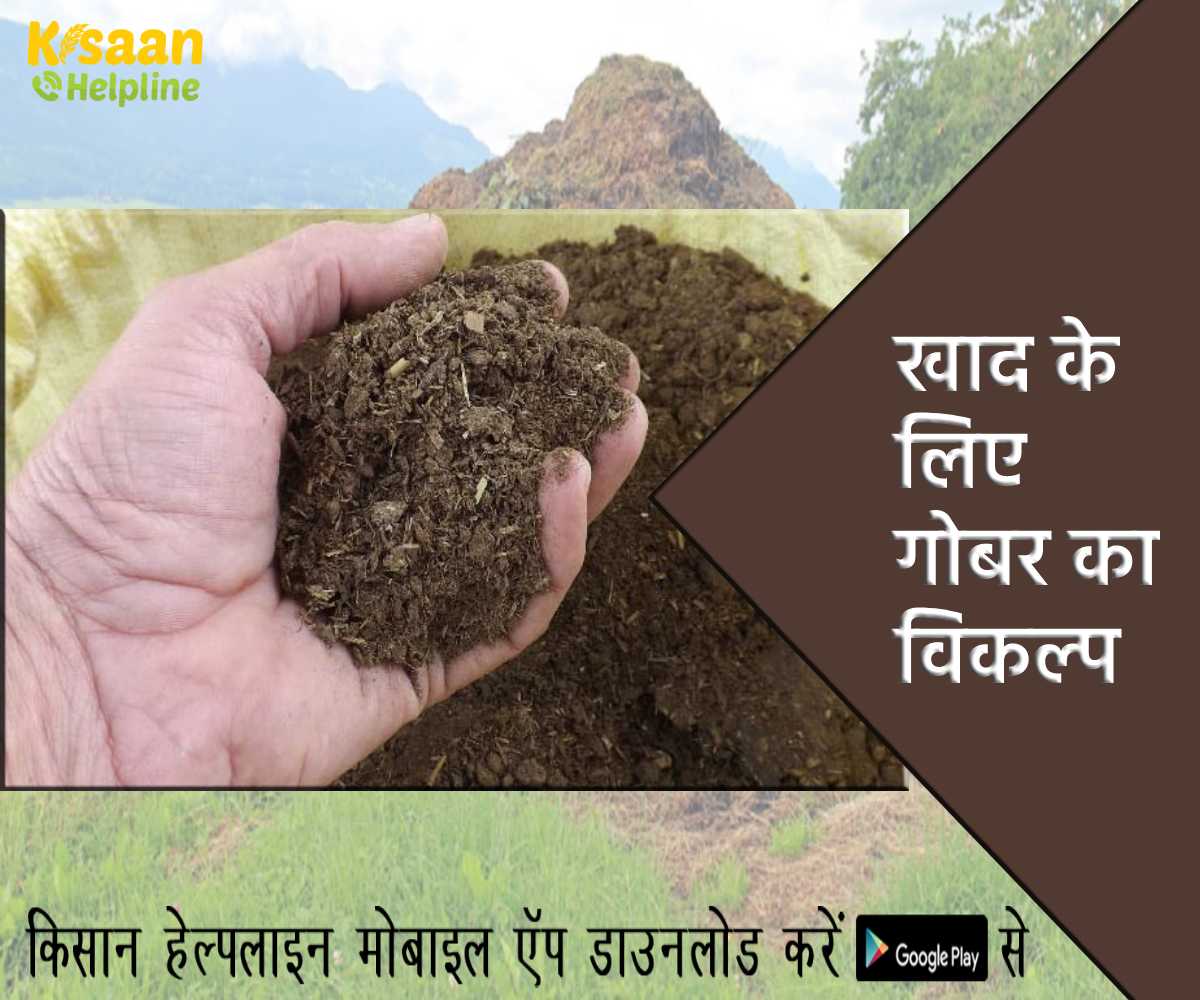 खाद के लिए गोबर का विकल्प: पीएम मोदी ने राष्ट्रीय सम्मेलन में जैविक खेती पर बल दिया