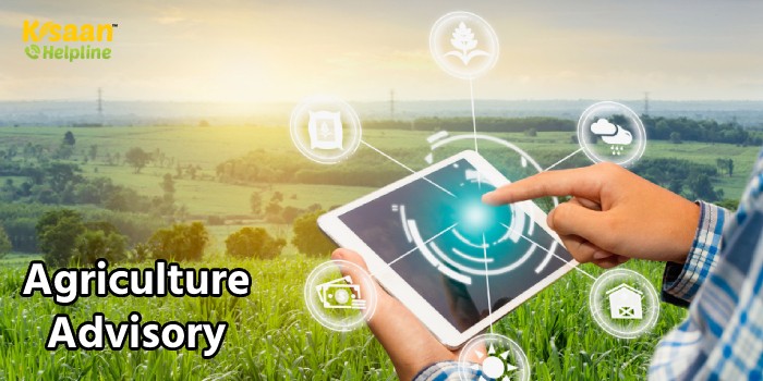 किसान इन बातों का रखें विशेष ध्यान, जानिए कृषि विशेषज्ञों द्वारा जारी की एडवाइजरी के बारे में