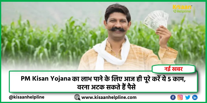 PM Kisan Yojana का लाभ पाने के लिए आज ही पूरे करें ये 5 काम, वरना अटक सकते हैं पैसे