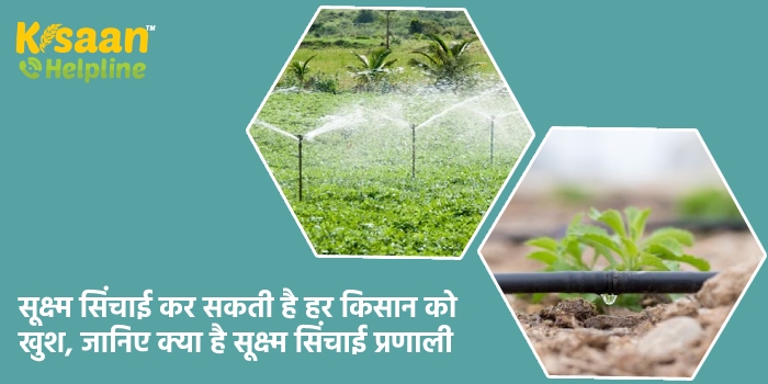 सूक्ष्म सिंचाई कर सकती है हर किसान को खुश, जानिए क्या है सूक्ष्म सिंचाई प्रणाली