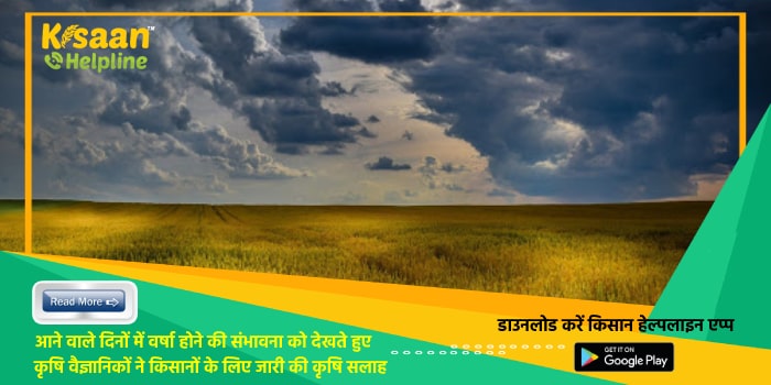 आने वाले दिनों में वर्षा होने की संभावना को देखते हुए कृषि वैज्ञानिकों ने किसानों के लिए जारी की कृषि सलाह
