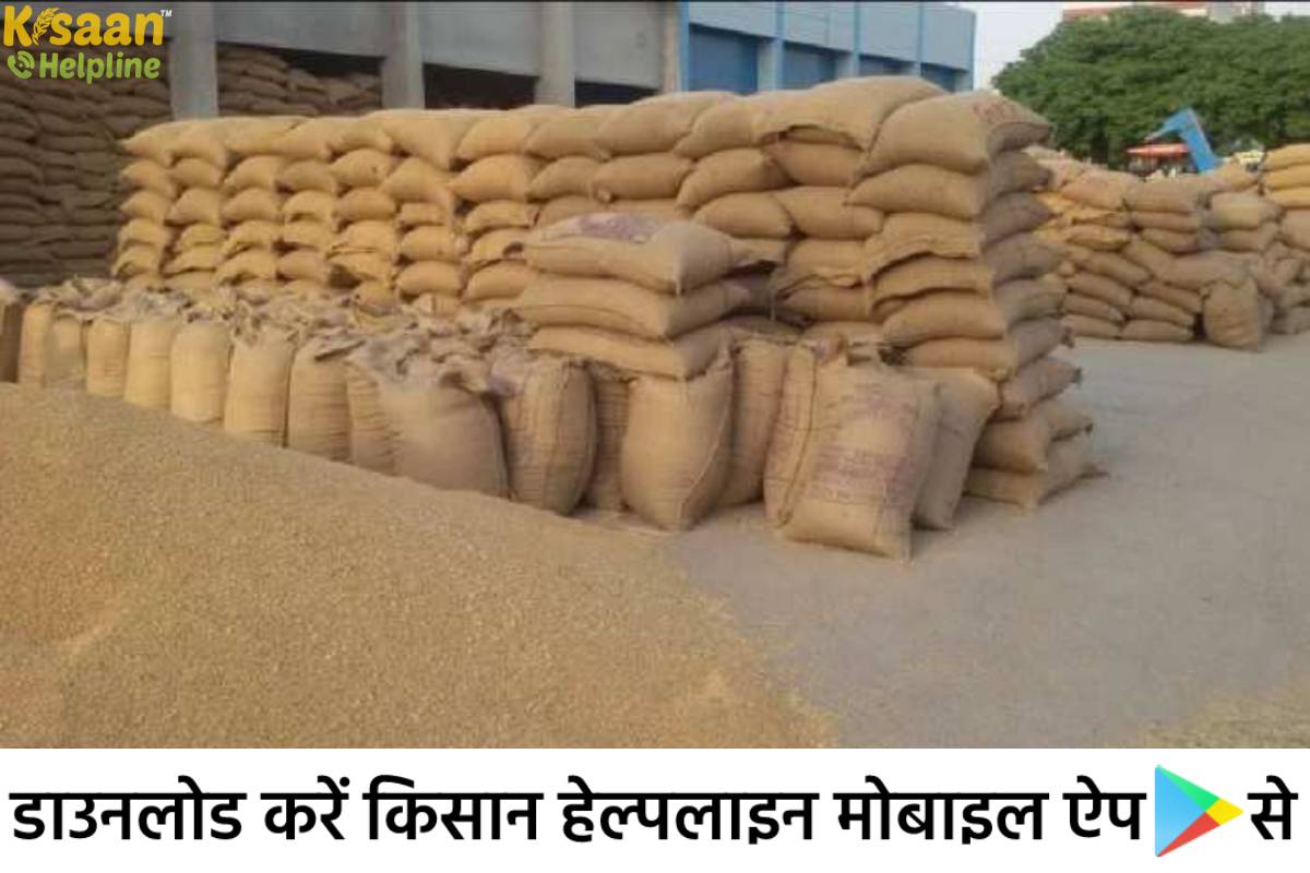 मध्यप्रदेश के किसान को मंडी तक आने की मशक्कत से छुटकारा घर से ही बेच सकेंगे अपनी उपज, जानिए इस खबर के बारे में