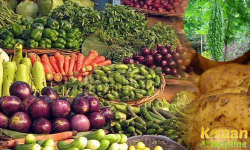 जानिए कैसे कर सकते है सब्जियों का बगीचा तैयार