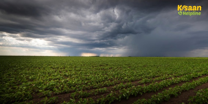 देशभर में भारी बारिश की चेतावनी, आईएमडी ने इन राज्यों के लिए जारी किया रेड अलर्ट