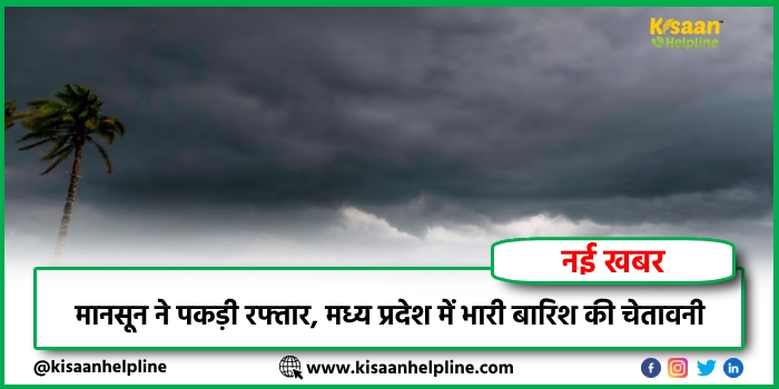 मानसून ने पकड़ी रफ्तार, मध्य प्रदेश में भारी बारिश की चेतावनी