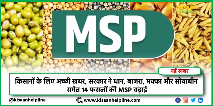 खरीफ सीजन की शुरुआत: बारिश की दस्तक, खरीफ सीजन में करें इन सब्जियों की बुआई, जो कम समय में देगी बेहतर उत्पादन