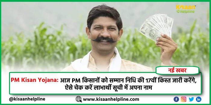 किसान बीज बुवाई से पहले एक बार अवश्य करें बीज अंकुरण की जांच, जानें बीज अंकुरण जांच के तरीके