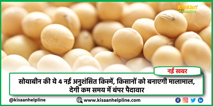 PM Kisan Yojana : आज PM किसानों को सम्मान निधि की 17वीं किस्त जारी करेंगे, ऐसे चेक करें लाभार्थी सूची में अपना नाम