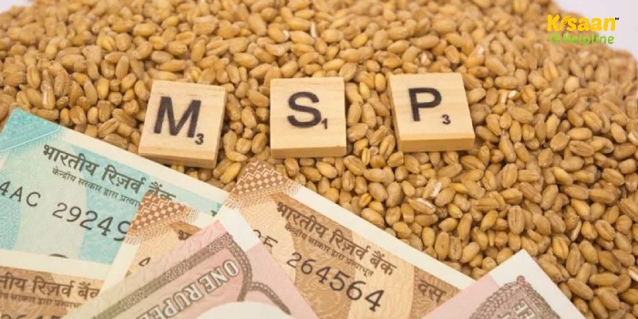 केंद्र सरकार ने 2025-26 के रबी फसलों के लिए एमएसपी में वृद्धि की घोषणा की, गेहूं का समर्थन मूल्य ₹2,425 प्रति क्विंटल
