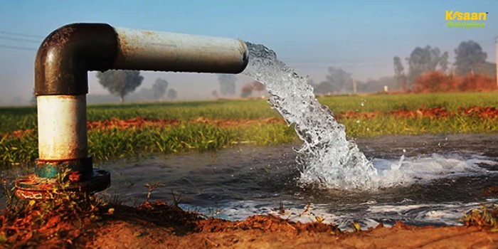 गेहूं की पैदावार बढ़ाने के लिए सही सिंचाई तकनीक अपनाएं