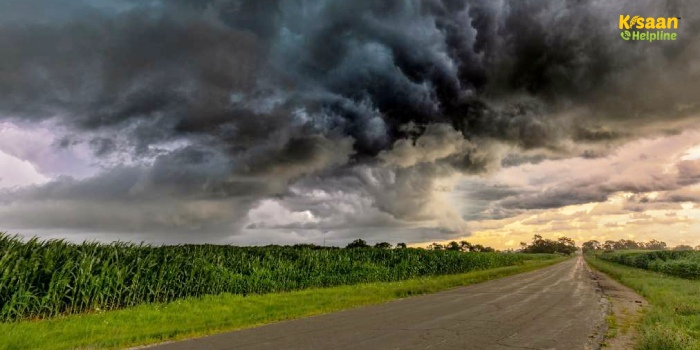 किसानों के लिए मौसम अलर्ट: अगले कुछ दिनों में तेज़ बारिश, ओलावृष्टि और तापमान में गिरावट! फसल बचाने के लिए अभी करें ये उपाय