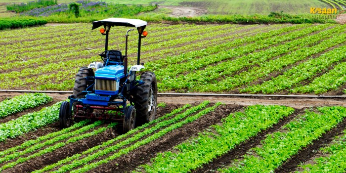 समय रहते करें खेती के ये जरूरी काम, मई में तैयारी से बढ़ेगा मुनाफा, फसल होगी शानदार