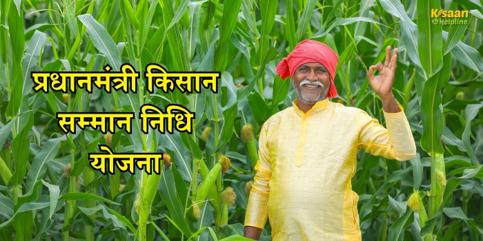 PM Kisan Yojana की 20वीं किस्त जून में आएगी, समय पर करें ये जरूरी काम, वरना अटक सकती है राशि