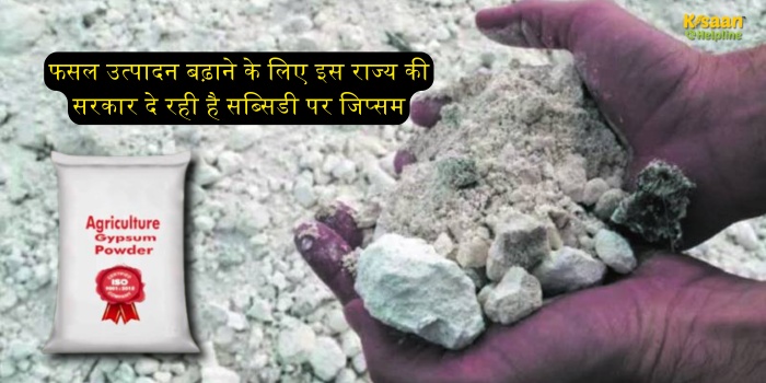 फसल उत्पादन बढ़ाने के लिए इस राज्य की सरकार दे रही है सब्सिडी पर जिप्सम, अब सिर्फ ₹54 में मिलेगी जिप्सम की बोरी