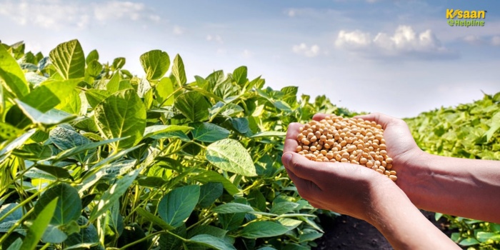 खरीफ सीजन में सोयाबीन की इस उन्नत किस्म JS 23-03 की खेती से पाएं ज्यादा उत्पादन – जानिए पूरी जानकारी