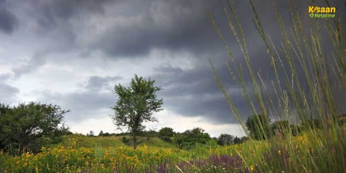 अगले 7 दिनों तक देश के मौसम का हाल: पूर्वोत्तर, उत्तर और दक्षिण भारत में तेज बारिश के आसार, किसानों के लिए महत्वपूर्ण जानकारी