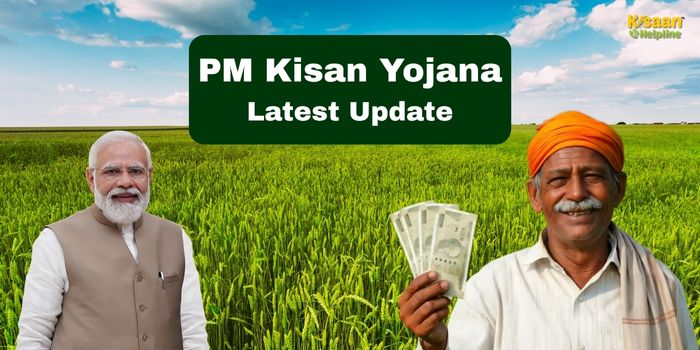 PM किसान की 20वीं किस्त कब आएगी? 4 महीने से इंतजार में बैठे किसानों के लिए क्या है जरूरी जानकारी