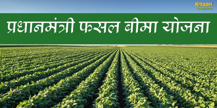 किसानों के लिए जरूरी खबर: फसल बीमा का फायदा उठाने का मौका, 31 जुलाई से पहले जरूर करें आवेदन