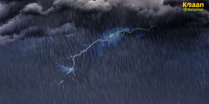 देशभर में भारी बारिश का अलर्ट: किसान भाई सतर्क रहें, अगले 7 दिनों तक कई राज्यों में तेज़ बारिश और आंधी-तूफान की संभावना