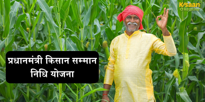 PM Kisan Yojana: 2 अगस्त को किसानों के खाते में आएंगे 2000 रुपये, जानें स्टेटस चेक करने का तरीका