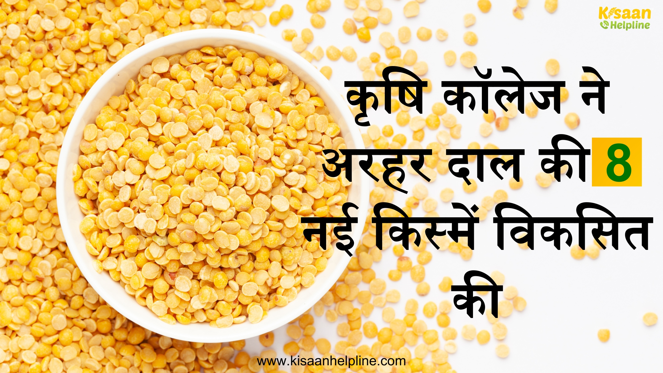 कृषि कॉलेज ने अरहर दाल की 8 नई किस्में विकसित की