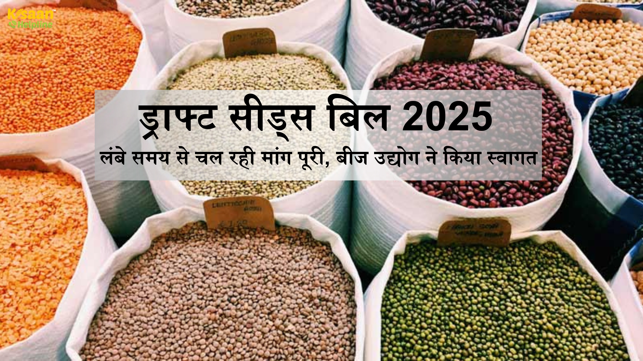 ड्राफ्ट सीड्स बिल 2025: लंबे समय से चल रही मांग पूरी, बीज उद्योग ने किया स्वागत