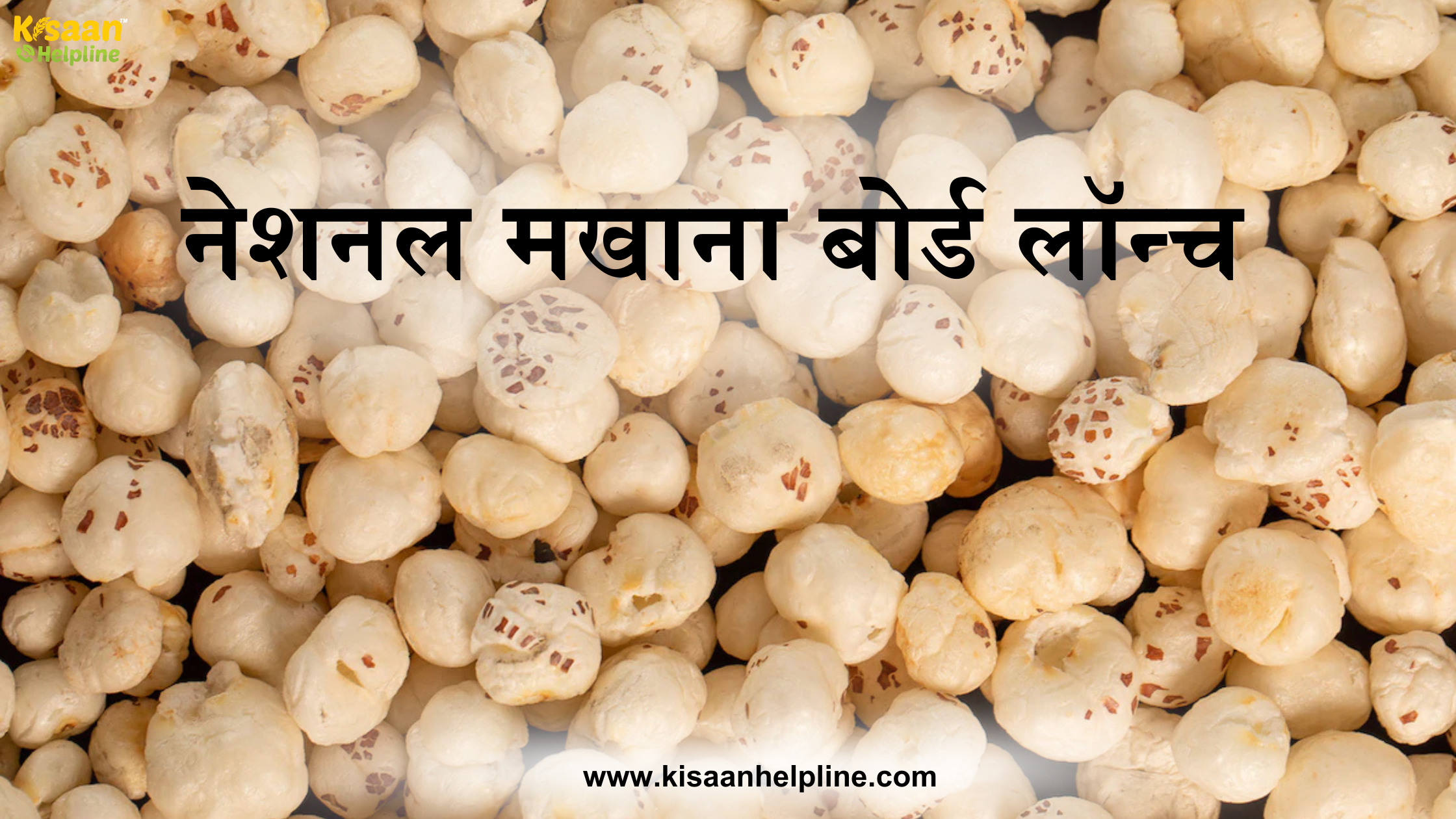 किसानों के लिए नई योजना और नेशनल मखाना बोर्ड लॉन्च किया गया