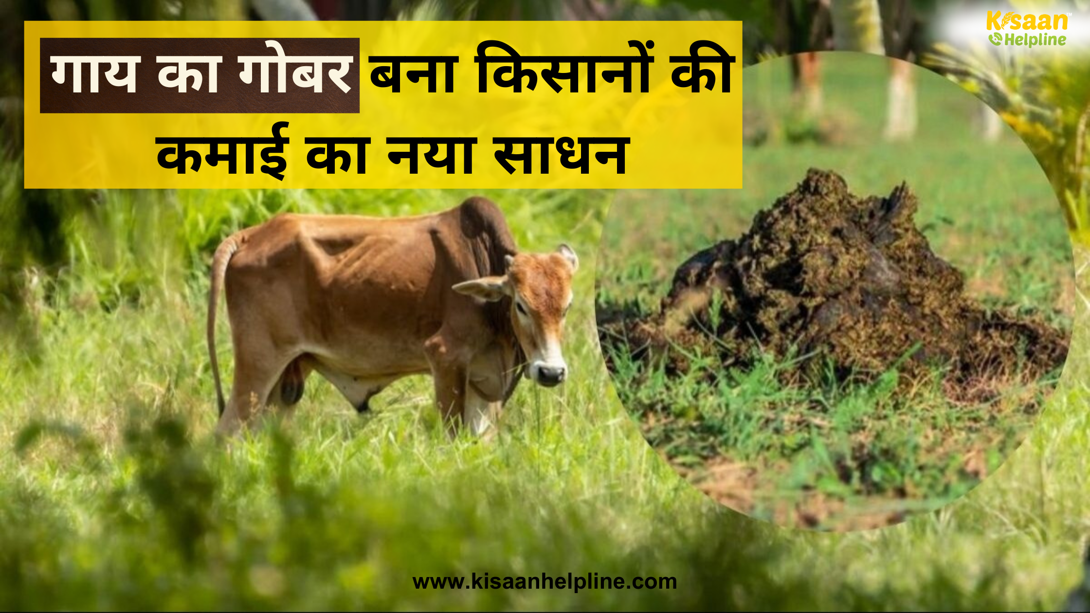 गाय का गोबर बना किसानों की कमाई का नया साधन