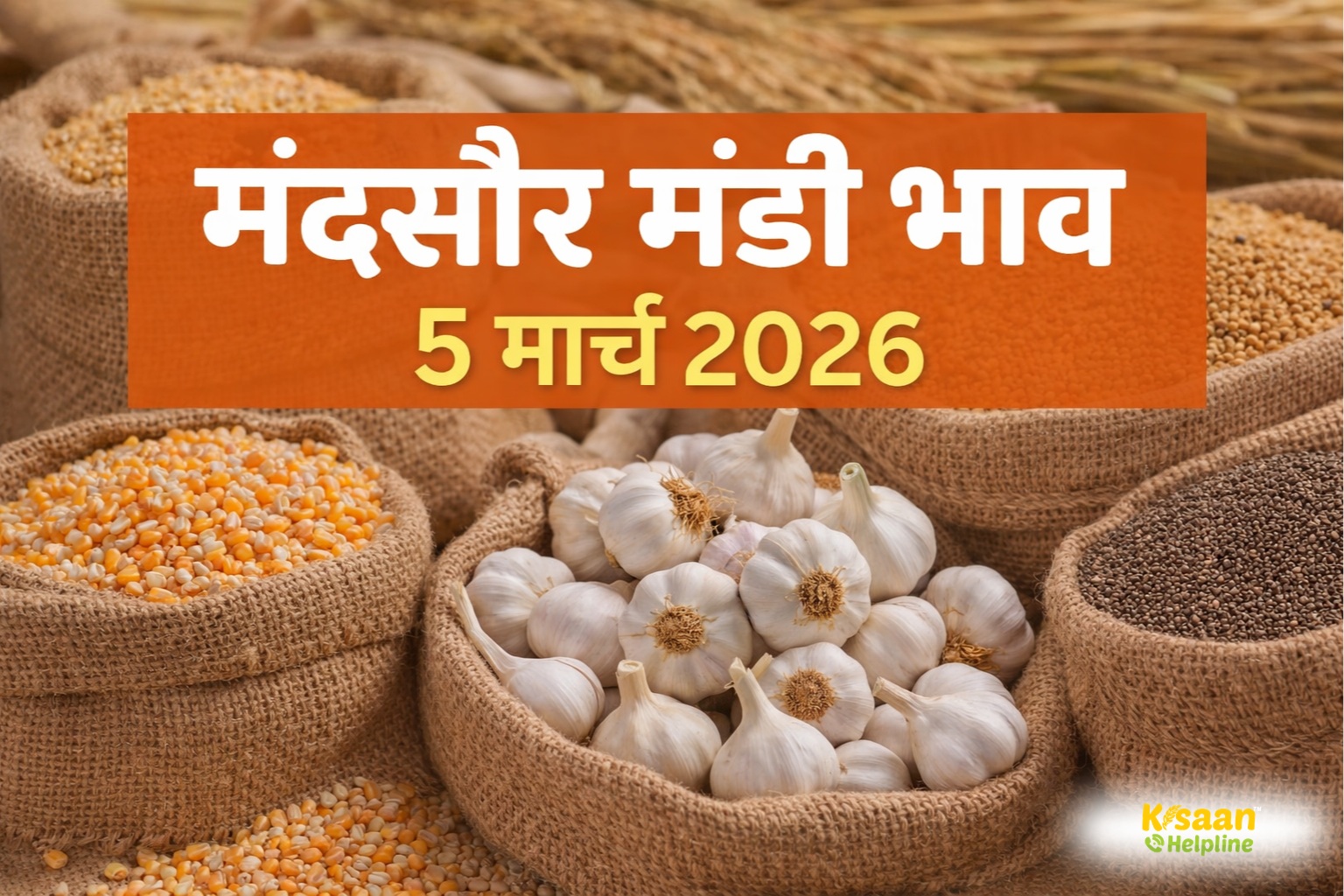 मंदसौर मंडी रिपोर्ट: आज इन फसलों के मिले बेहतर दाम, देखें पूरा भाव