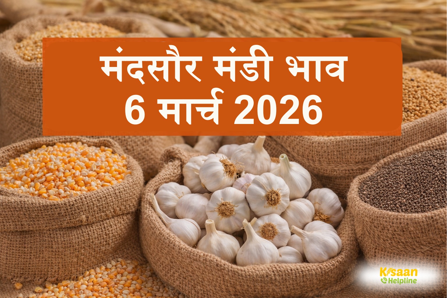 मंदसौर मंडी भाव 6 मार्च 2026: लहसुन, धनिया, सोयाबीन, गेहूं, चना और अन्य फसलों के ताजा मंडी भाव