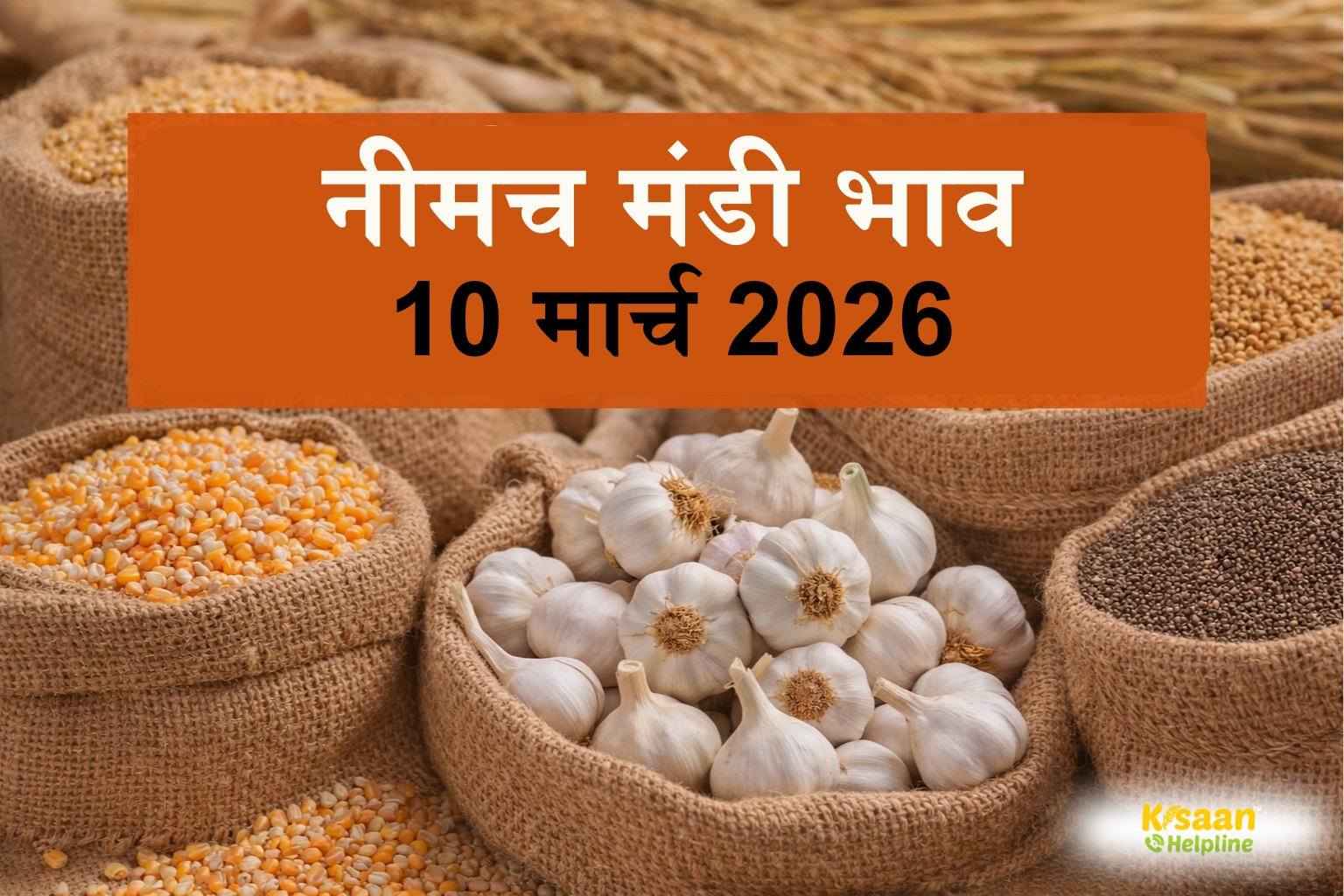 नीमच मंडी रिपोर्ट: 10 मार्च को लहसुन, पोस्ता और अजवाइन के मिले अच्छे दाम, देखें नीमच के मंडी भाव