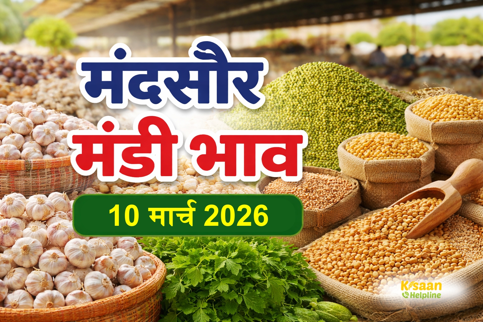 मंदसौर मंडी अपडेट: लहसुन, धनिया और चिया बीज के मजबूत भाव, जानिए 10 मार्च के पूरे रेट