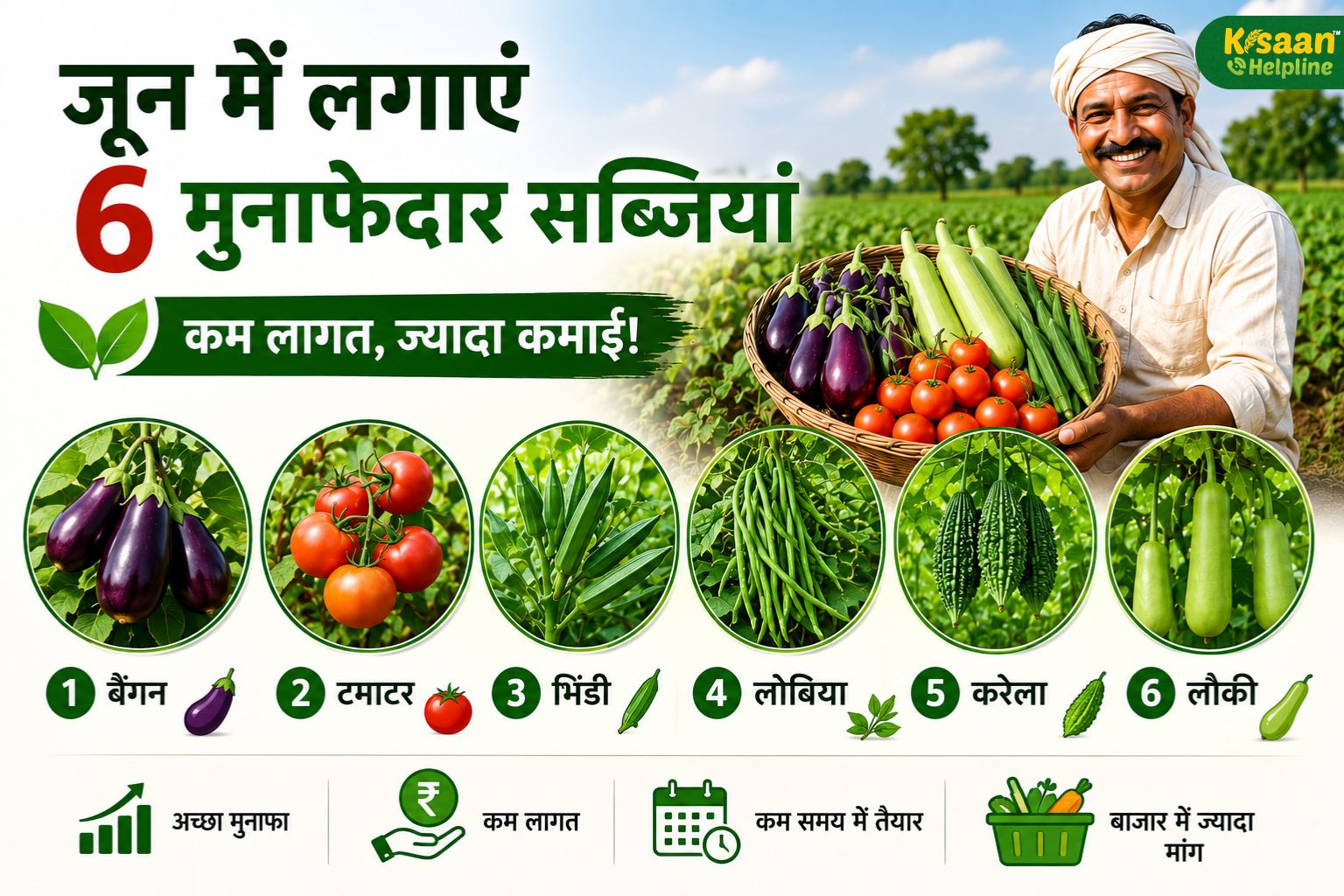 जून में बो दें ये 6 सब्जियां, बारिश शुरू होते ही शुरू होगी कमाई! किसान कमा सकते हैं शानदार मुनाफा