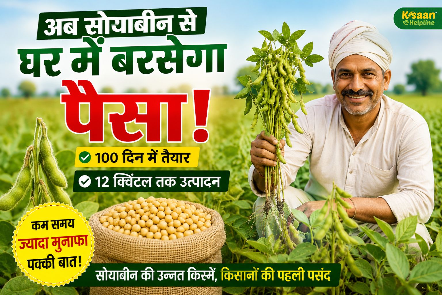 100 दिन में तैयार, 12 क्विंटल प्रति एकड़ तक उत्पादन! सोयाबीन की ये नई किस्में बदल सकती हैं किसानों की किस्मत