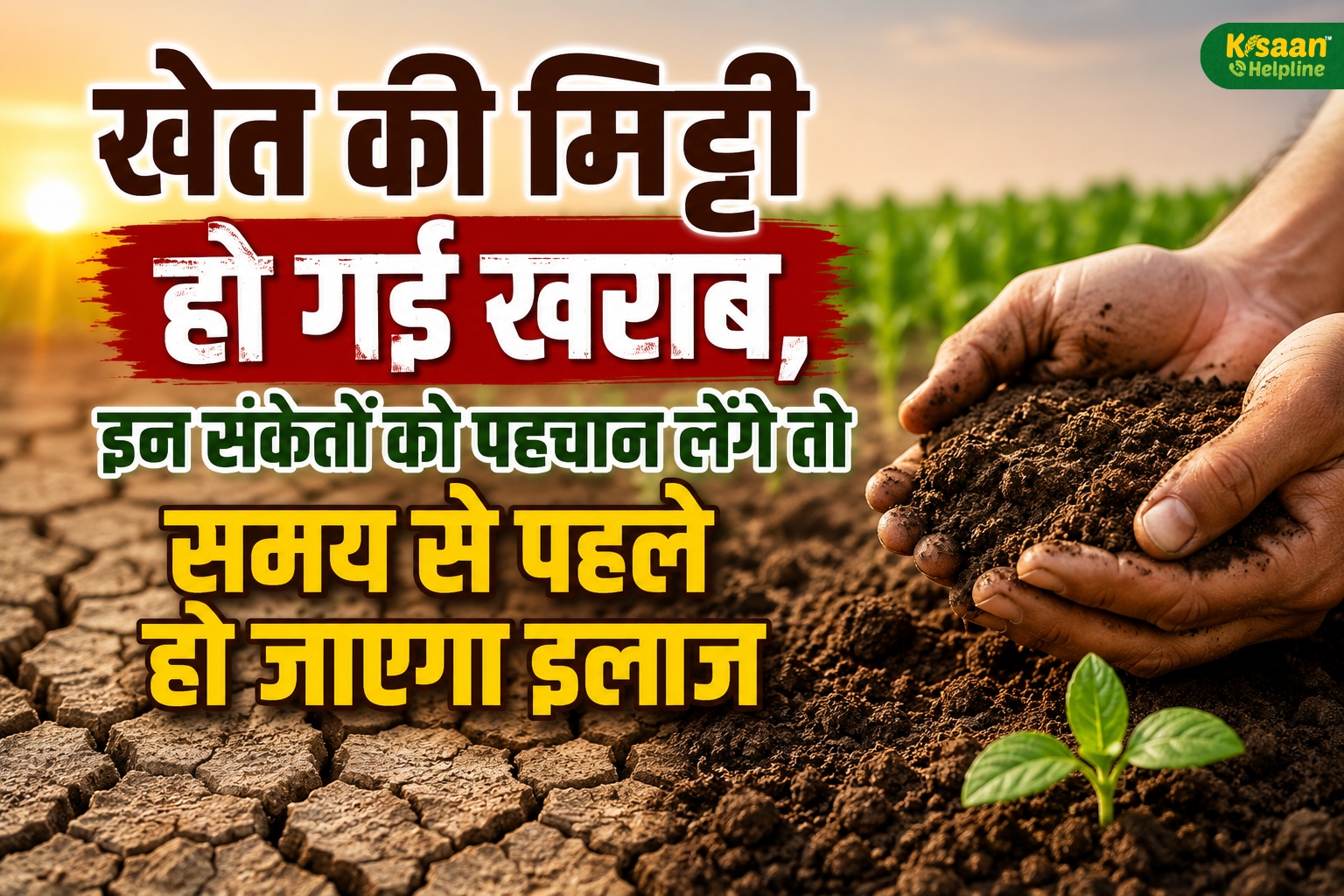 खेत की मिट्टी दे रही है खतरे की घंटी! इन संकेतों को न करें नजरअंदाज, वरना घट सकती है पैदावार