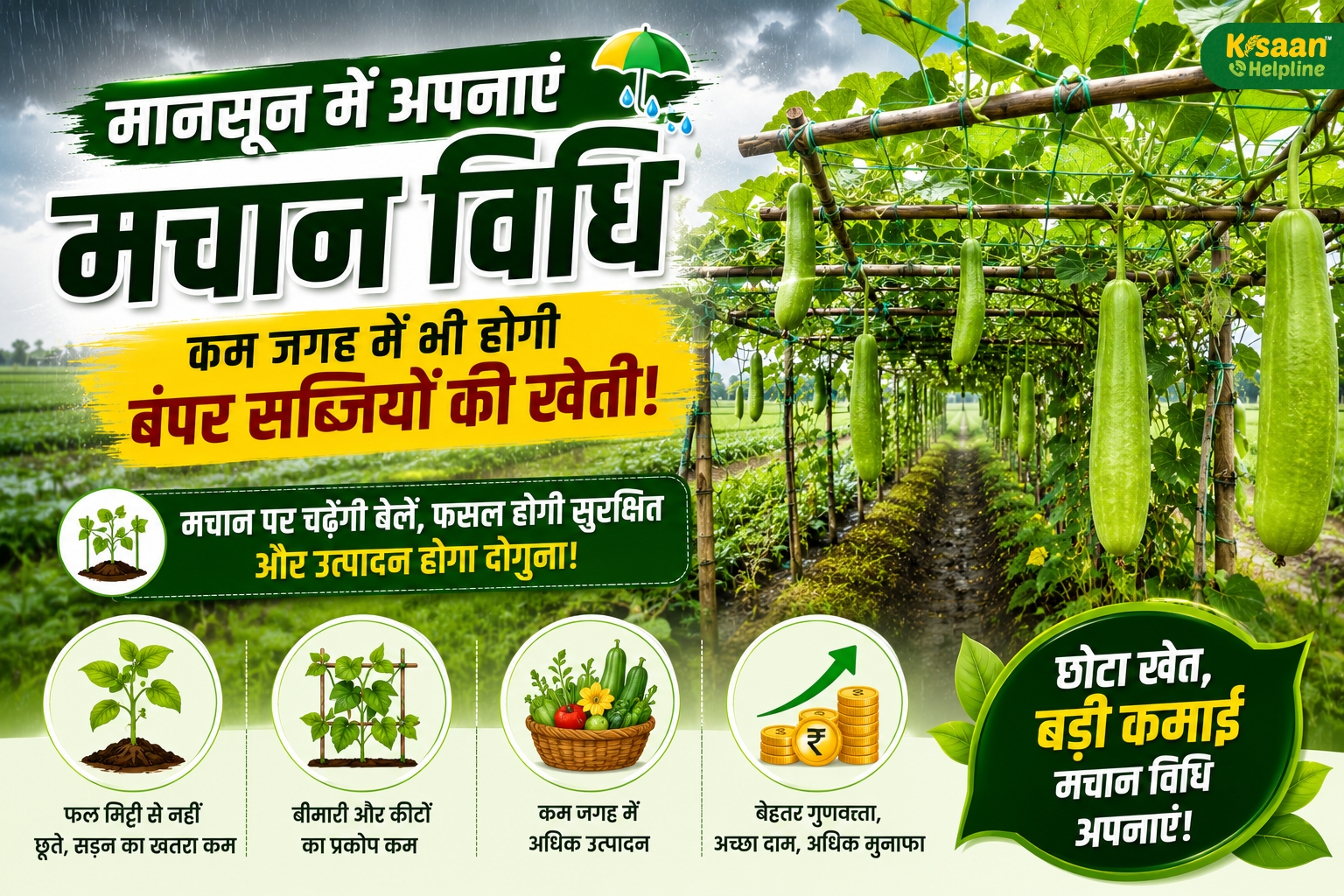 मानसून में अपनाएं मचान विधि, कम जगह में भी होगी बंपर सब्जियों की खेती, बढ़ेगा उत्पादन और मुनाफा